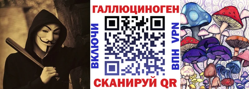 Галлюциногенные грибы Psilocybe  Нелидово 